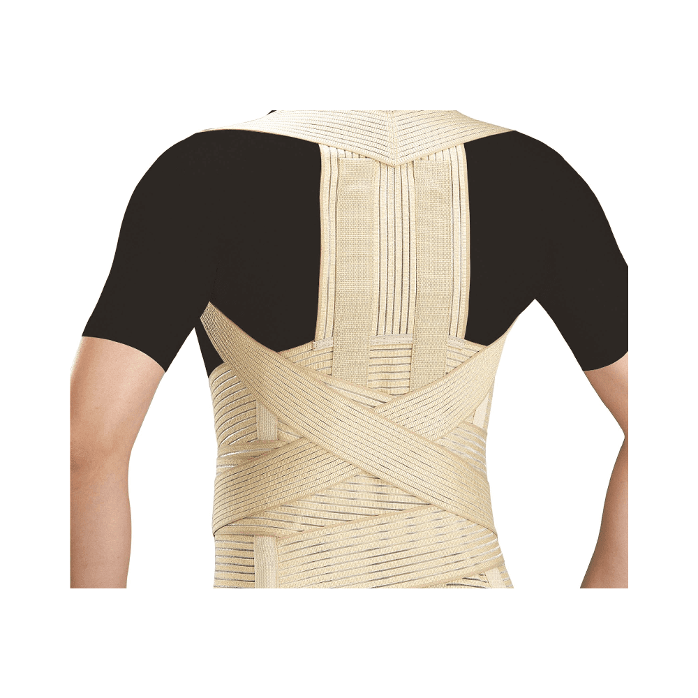Ventilative Vertebra Brace B2-001 L