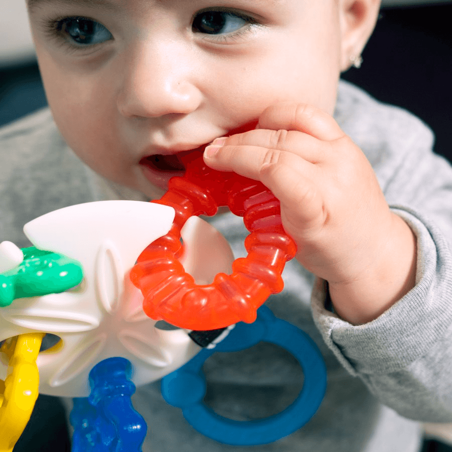 Baby Einstein Sea Of Sensory Teether Toy