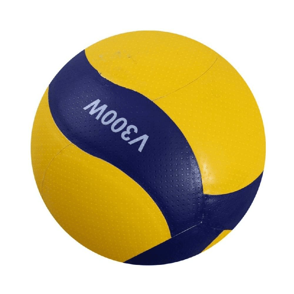 Volley Ball Milasa
