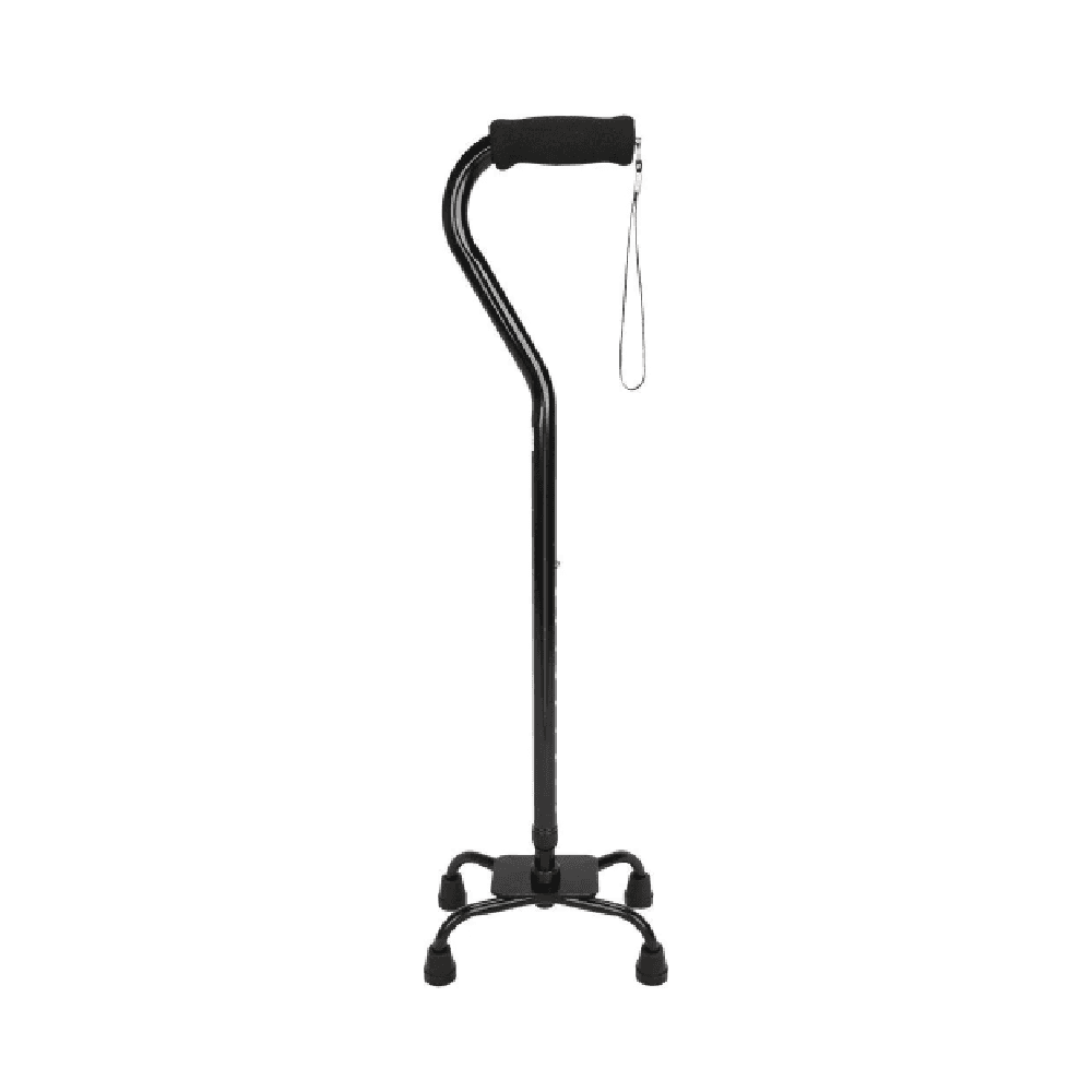 Walking Stick 4 Leg Ca8246