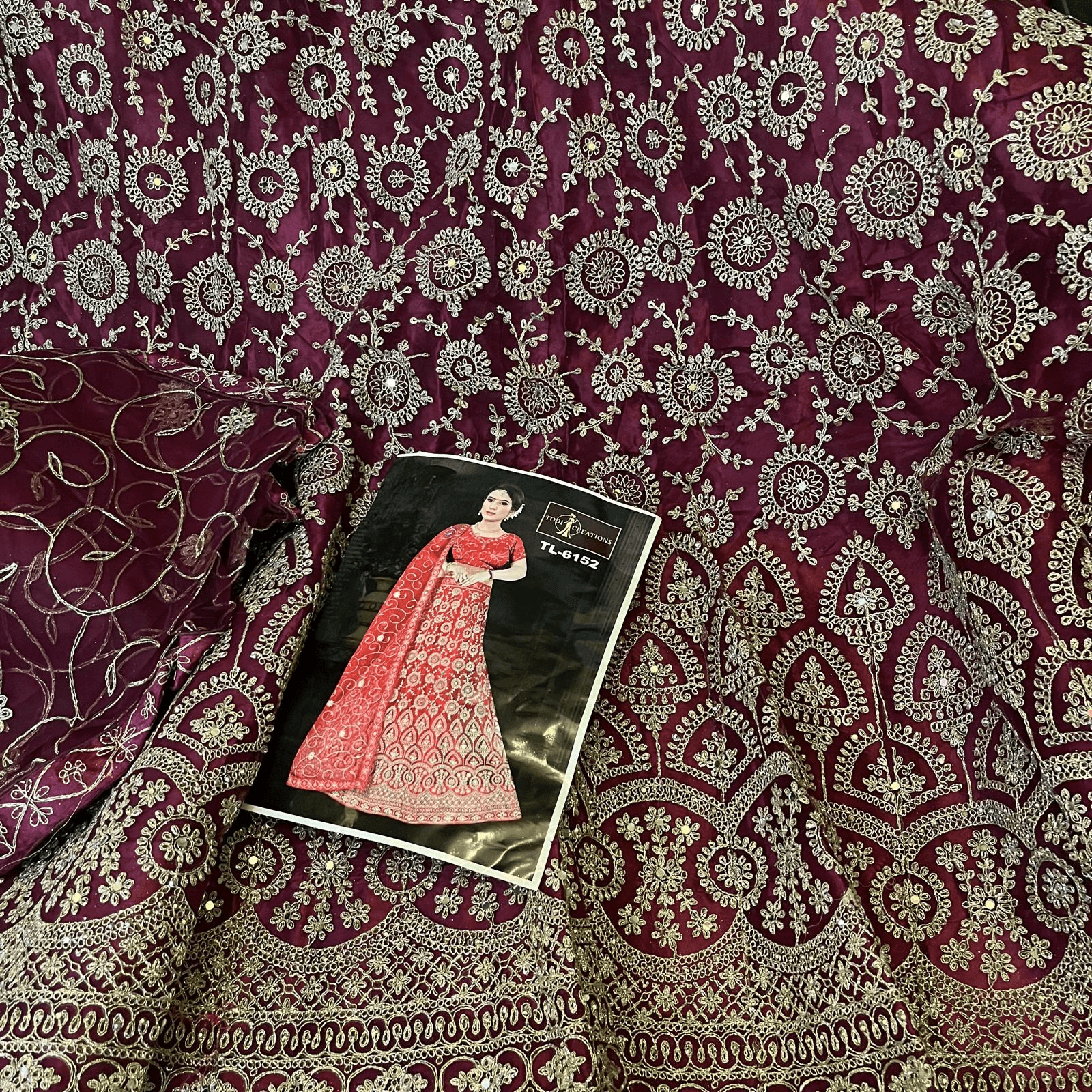 Fabric Piece Of Sari 03