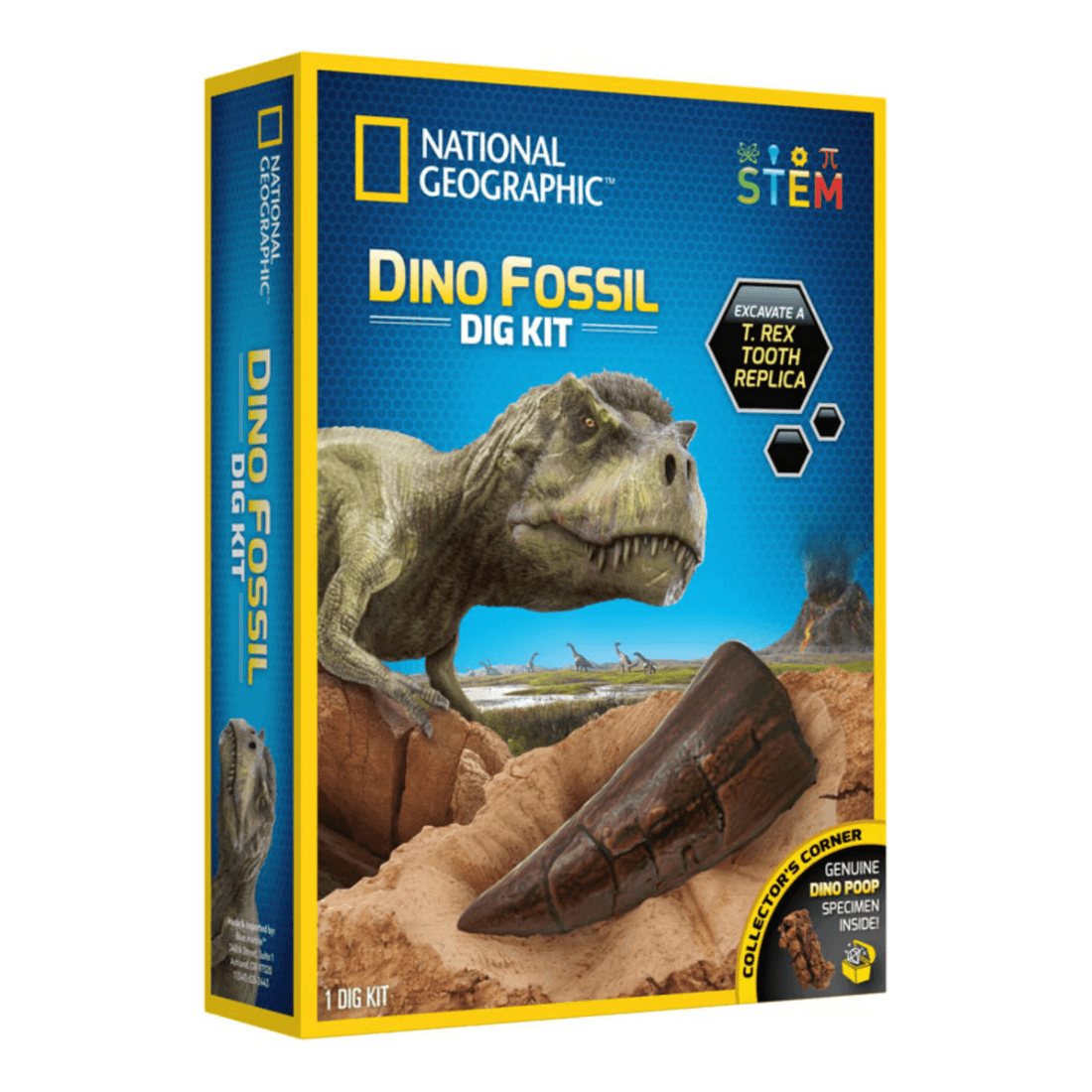National Geographic - Dino Fossil Dig Kit