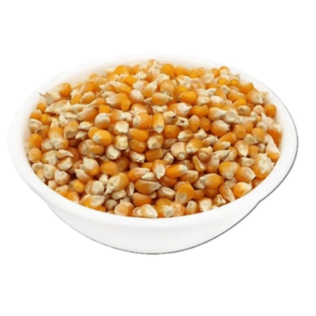 Pop Corn Seeds 500G