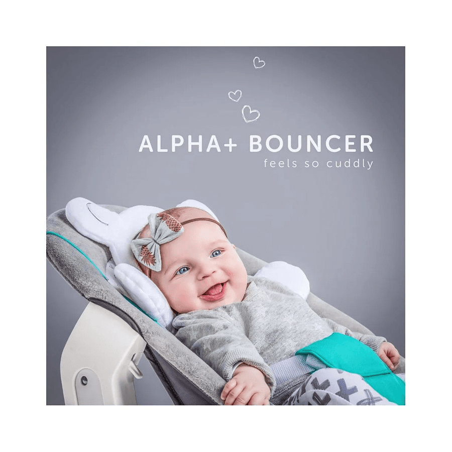 Hauck Alpha Bouncer 2-In-1 Bear Hearts (Grey)