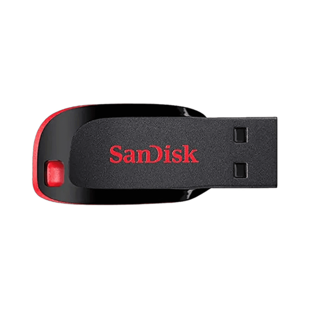 Sandisk Flash Drive