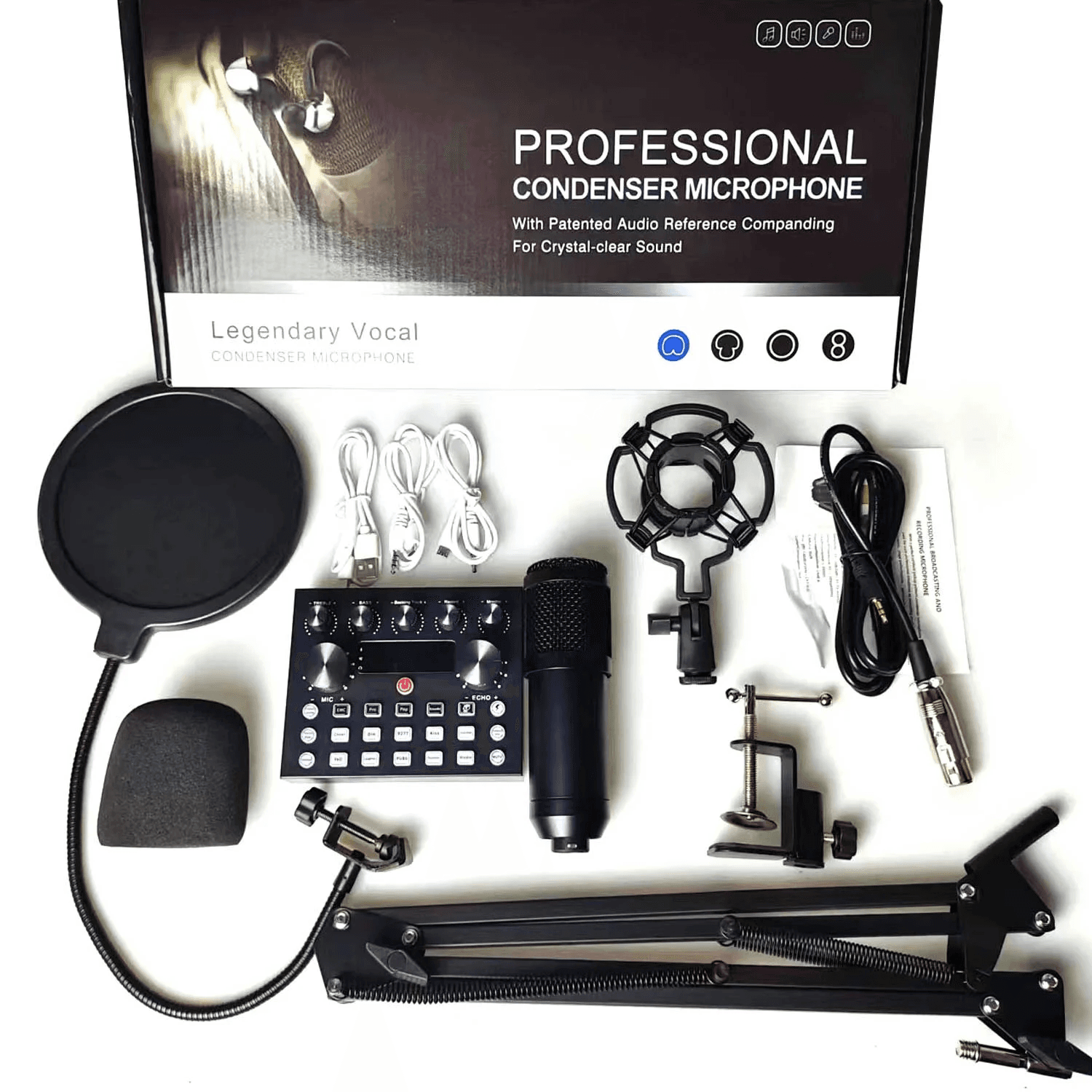 V10S Condensor Microphone