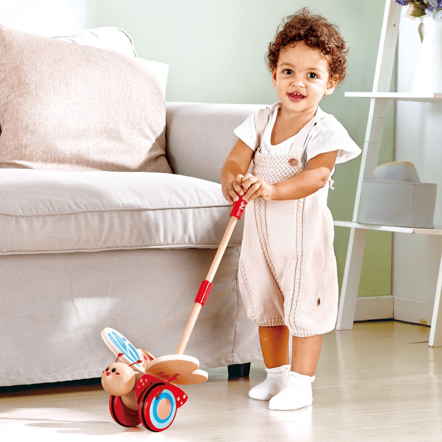 Hape Wooden Butterfly Push And Pull Toy