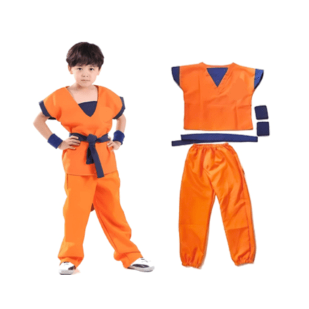Dragon Ball Costume Large