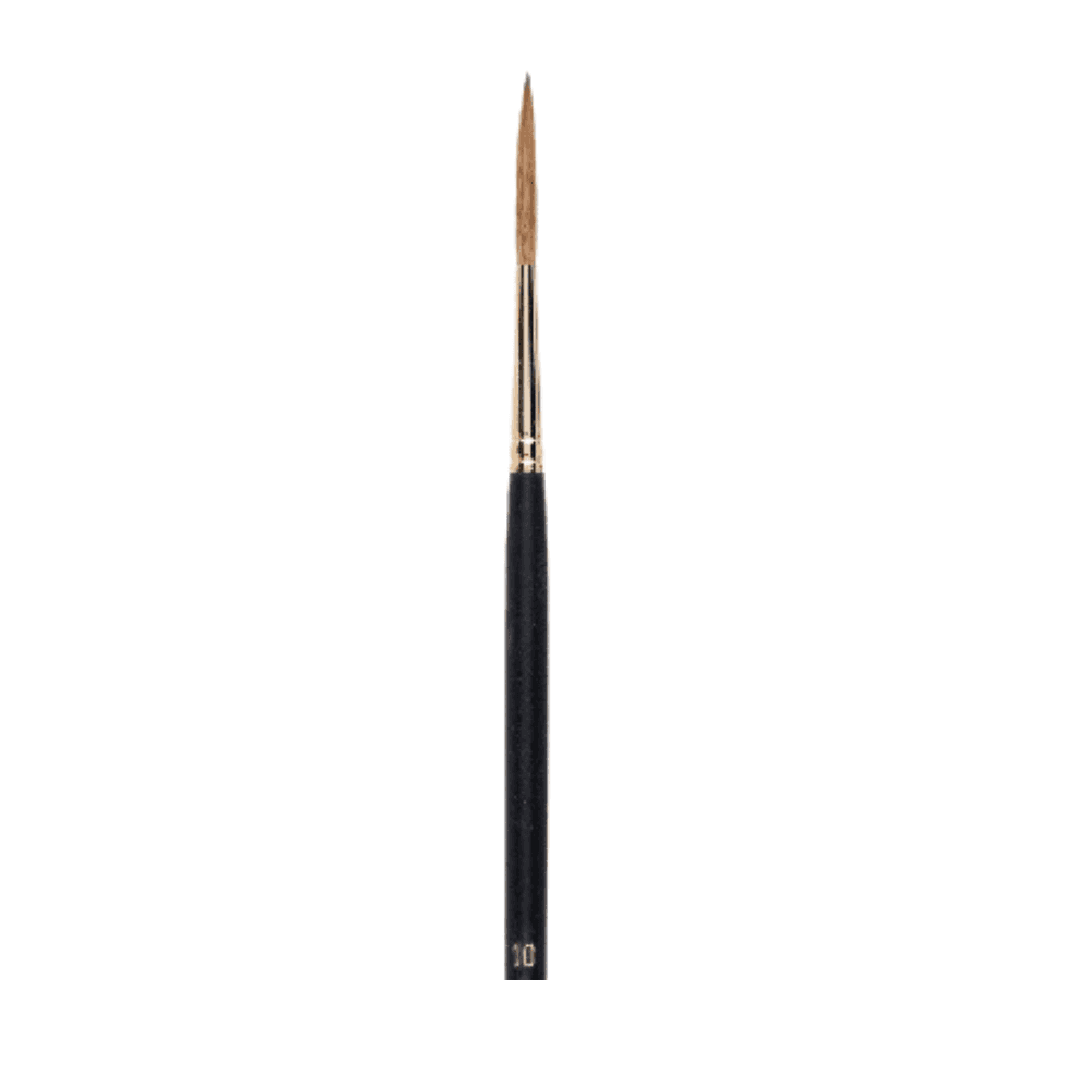 Rembrandt Oil & Acrylic Color FSC Brush Series 310 No. 10 