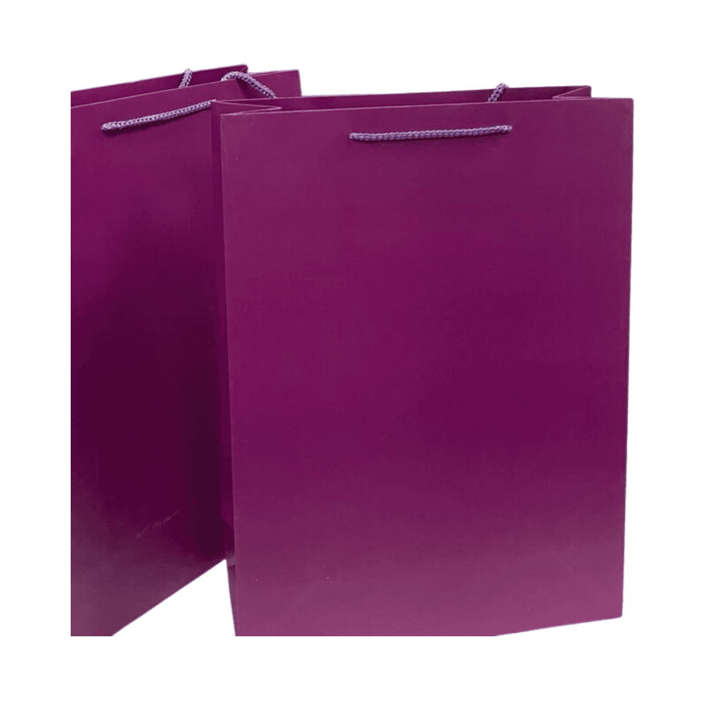 Gift Bag - Purple