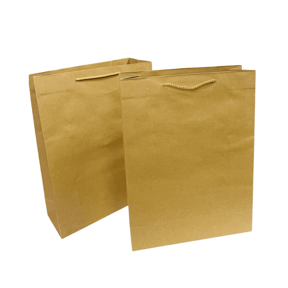 Plain Gift Bag 31X42X12Cm - Brown