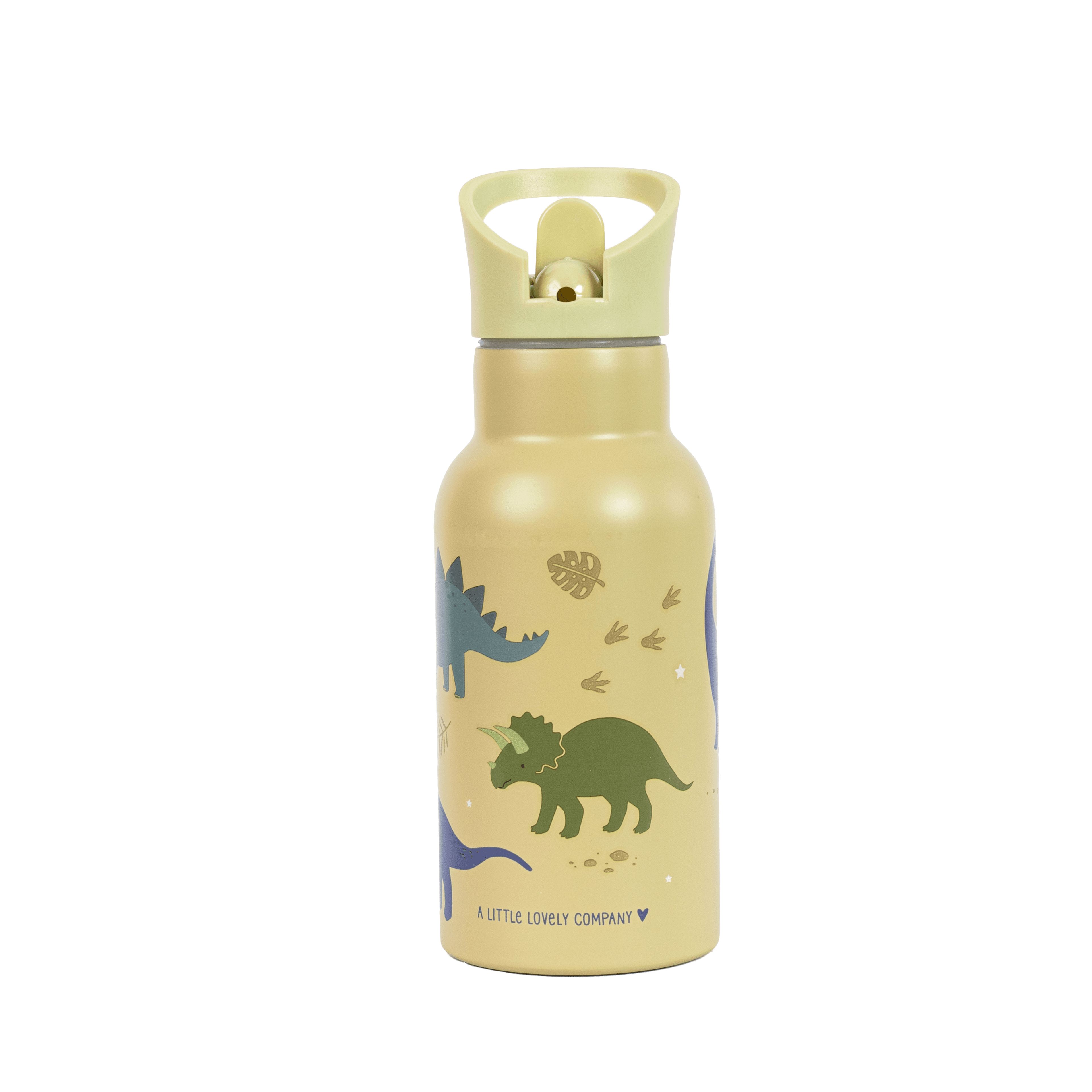 Stainless Steel Bottle: Dinosaurs