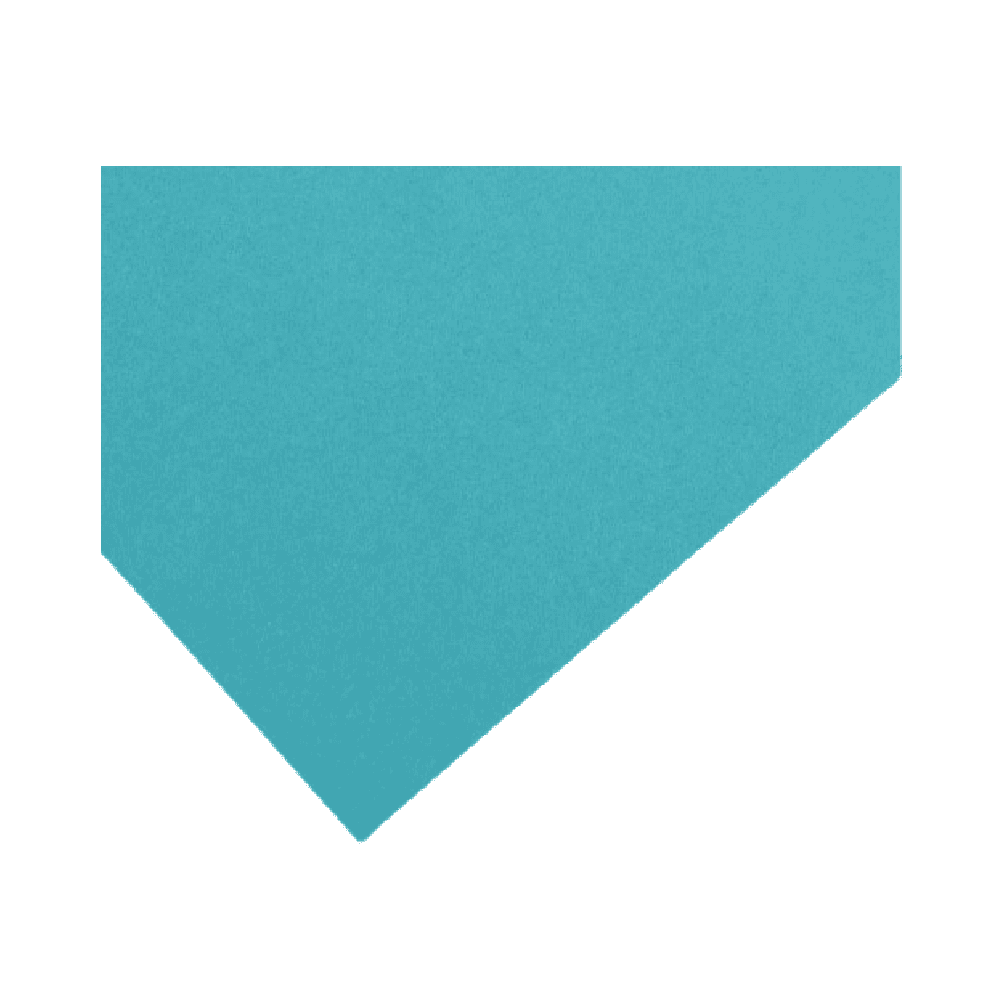 Canson Colorline 220G Craft Paper Sheet 50 x 70cm - Blue Turqoise 25