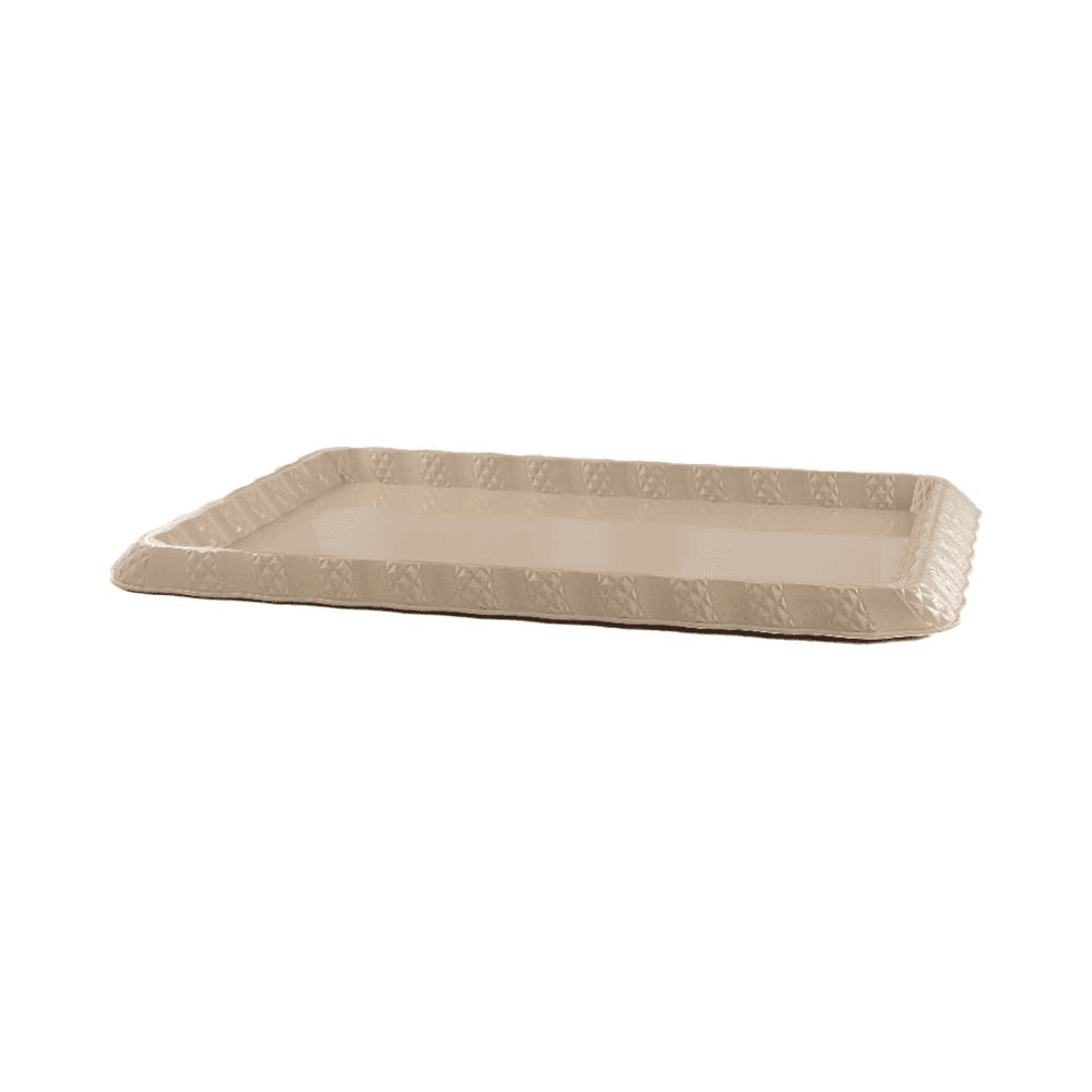 Rose Thermos Mr-2424-Tr60-A15 Plastic Serving Tray 60cm 30-1396