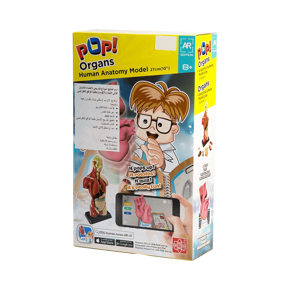 Edu Toys Pop Organs Human Anatomy Model Toy Set