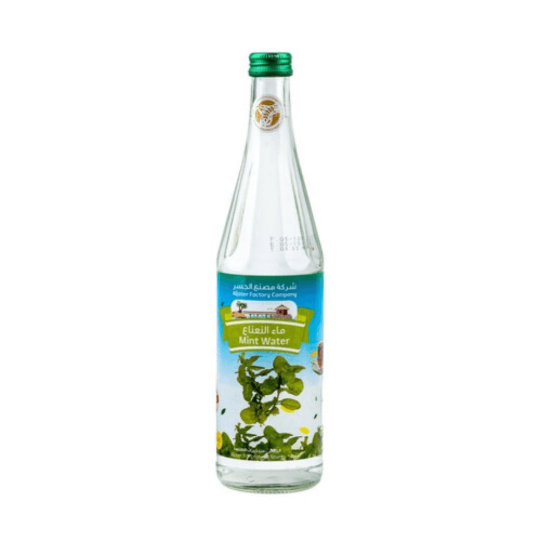Mint Water 565Ml