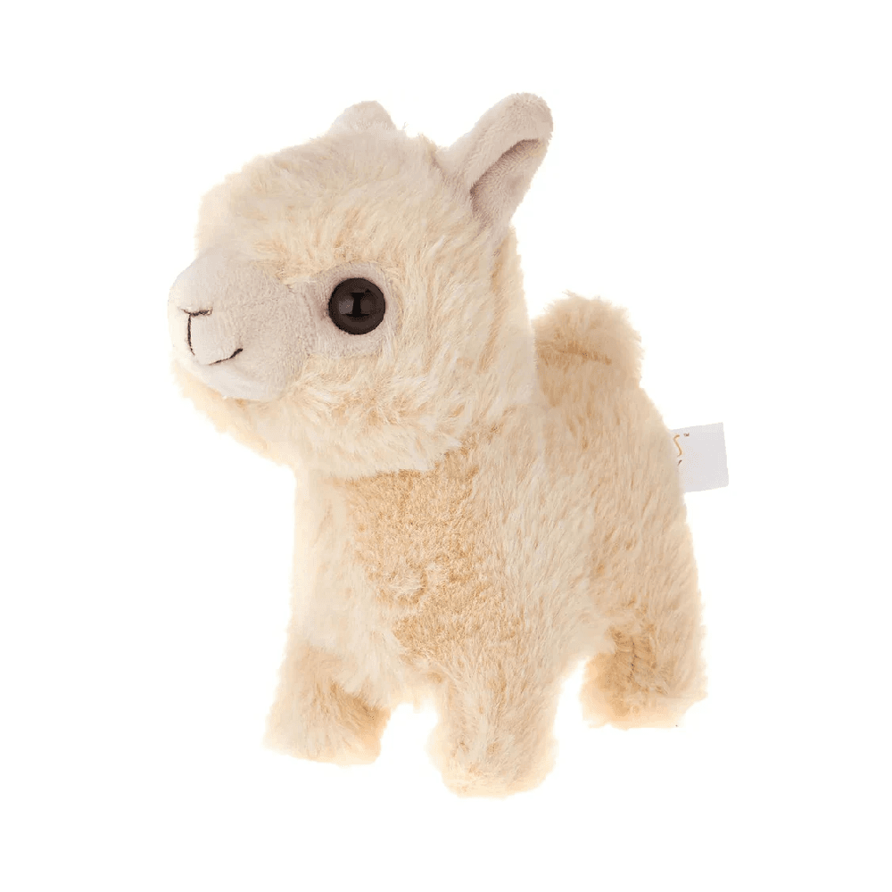 Pugs At Play Sandy The Walking Llama