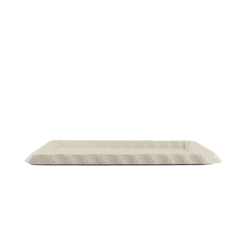 Rose Plastic Serving Tray - Beige MR-2424-TR60-A27 