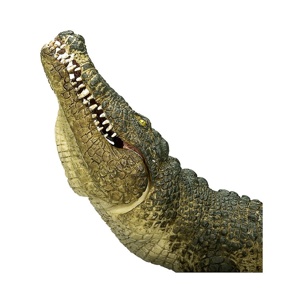 Realistic Crocodile Action Figure with Moving Jaw Toy