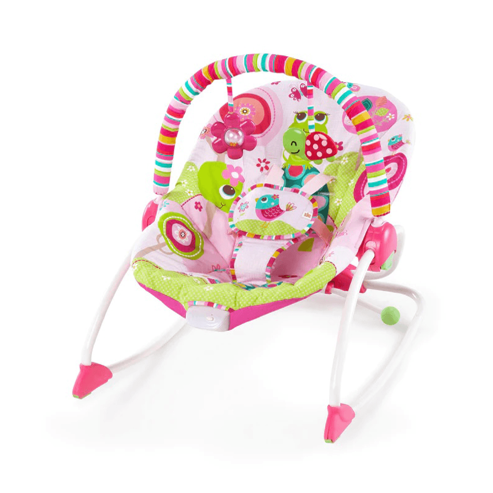 Bright Starts Raspberry Garden Infant To Toddler Rocker