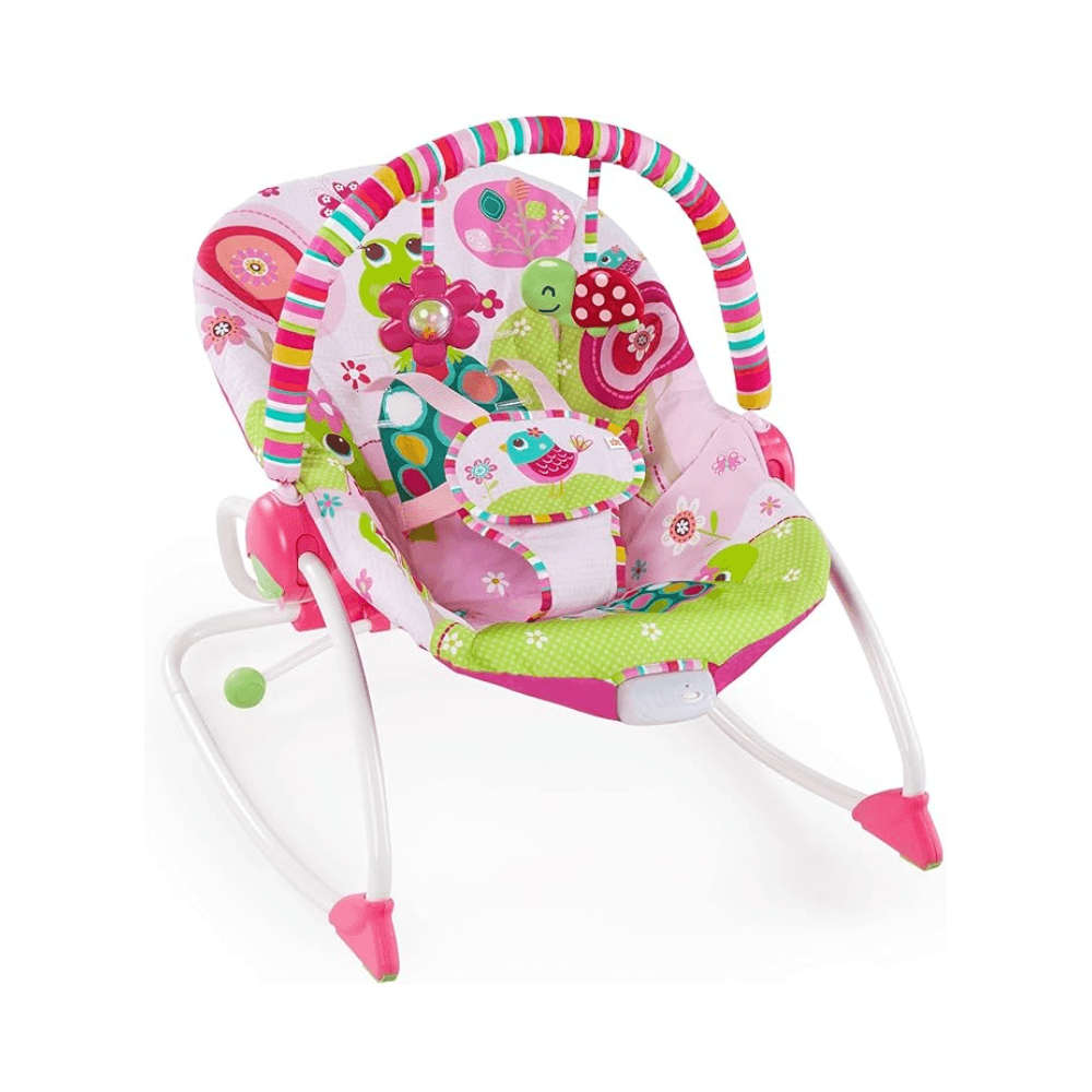 Bright Starts Raspberry Garden Infant To Toddler Rocker