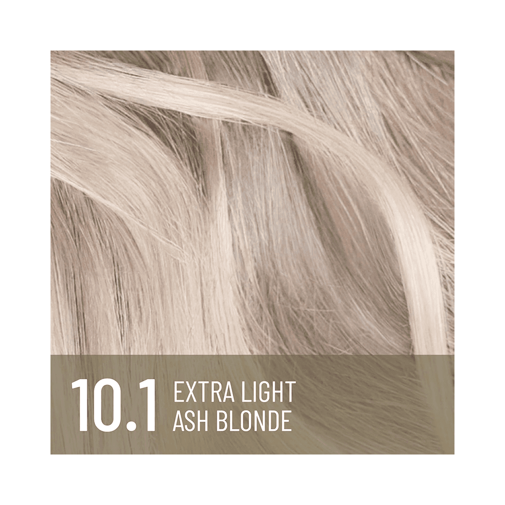 AlfaParf Plex Rebuilder Permanent Hair Color no: 10.1 Extra Light Ash Blonde