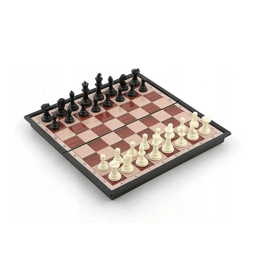 Brains Chess Educational Toys