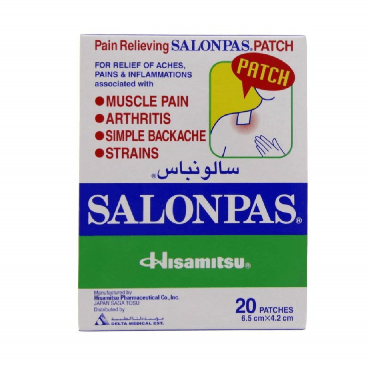 Salonpas Patch 20