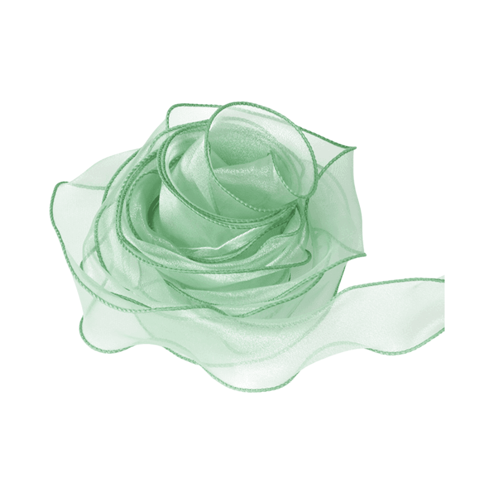 Mint Green Wired Organza Ribbon 10yards