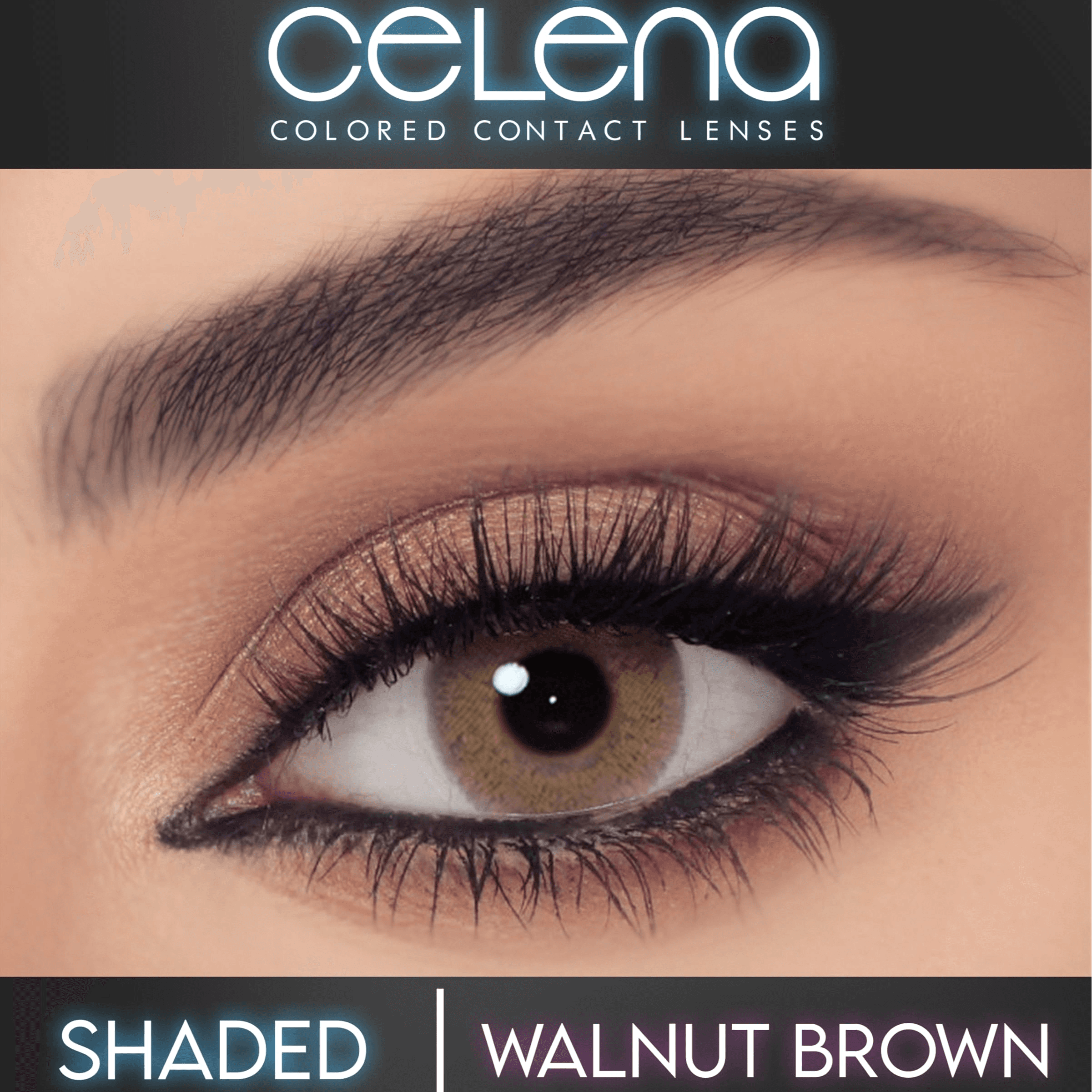 Celena - Walnut Brown