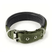 Large Dog Collar