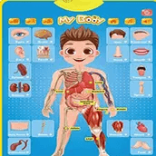 Body Parts