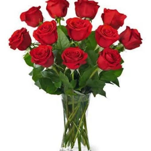 12 Red Roses