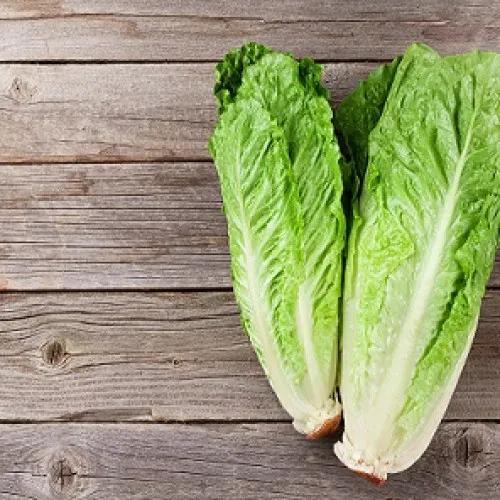 Lettuce Romaine 1 Piece