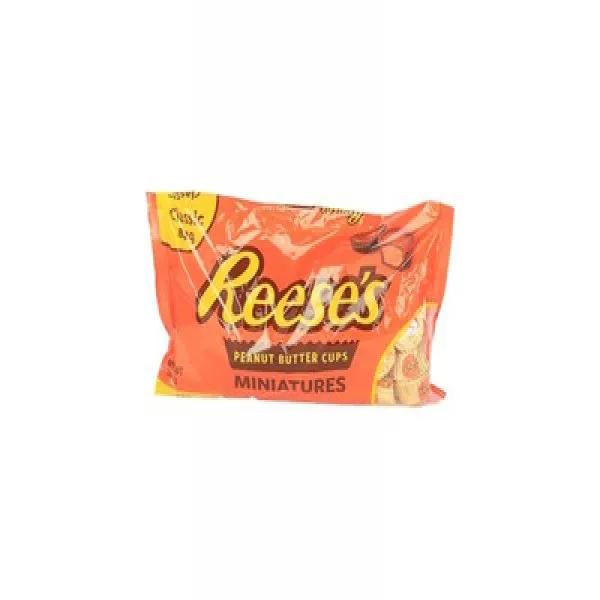 Hershey Reeses Peanut Butter 340Gm