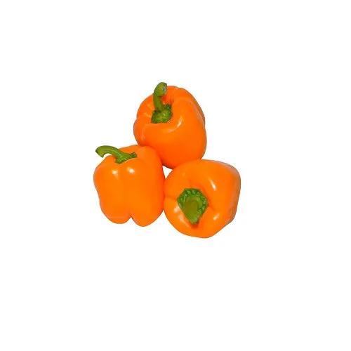 Capsicum Orange Import kg