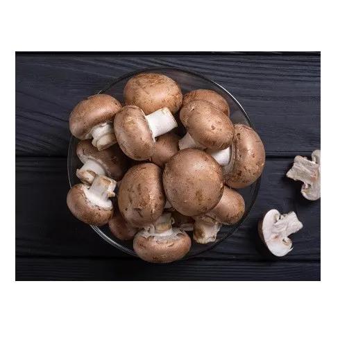 PARAMOUNT Mushroom Brown 250g