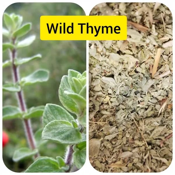 Wild Dried Thyme Leaves 100g