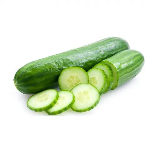 Cucumber kg Iran