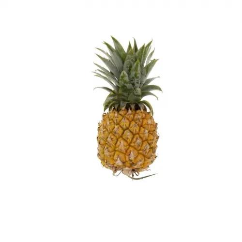 Pineapple Pc