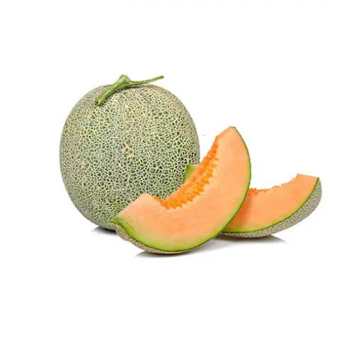 Melon Cantaloup Kg