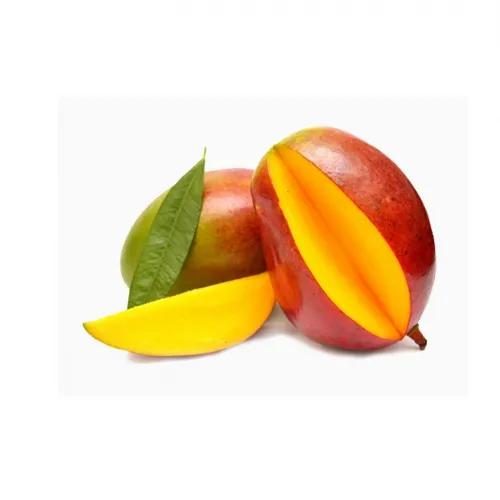 Mango Kent Kg