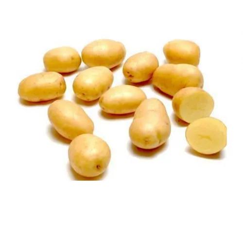 Potato Baby White Kg