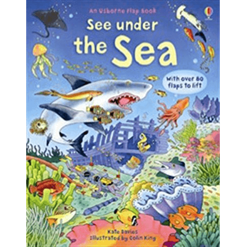 096383 See Under the Sea (Board Book, UK) By Davies, Kate