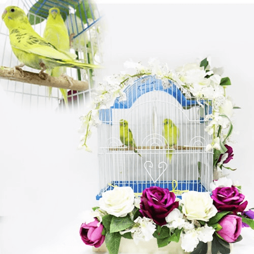 Couple of lovebirds with a cage decorated with colorful roses 001