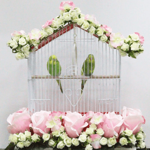 Flower Cage With 2 Pair Of Budgies