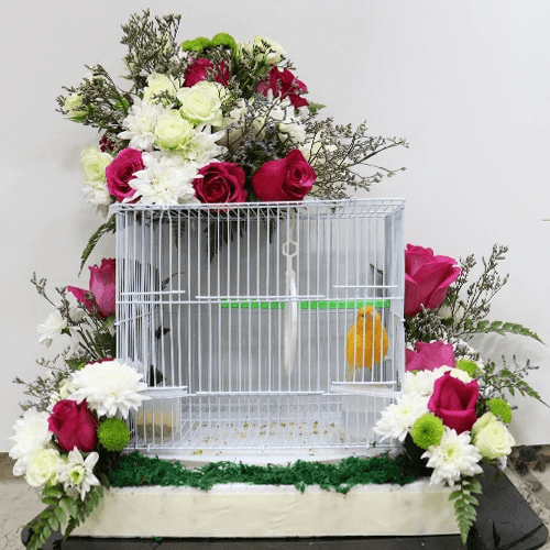 Canary Birds With With A Flowers Decorated Cage