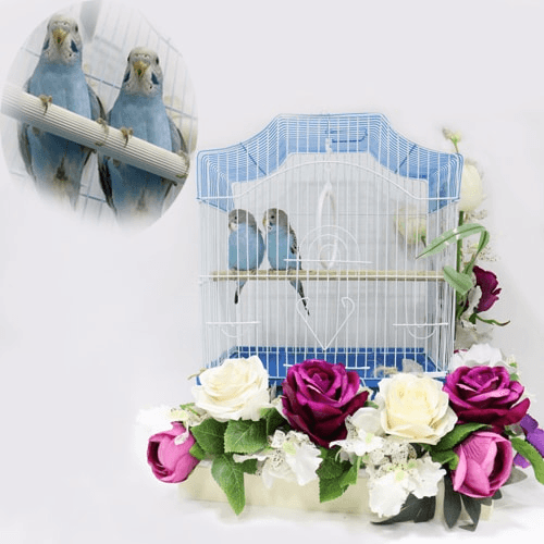 Colorful Flower Cage With 2 Pair Of Budgies