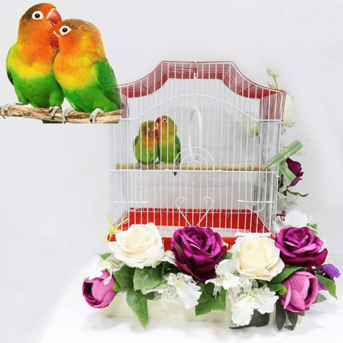 Two pairs of little parrot birds with a cage decorated with colorful roses