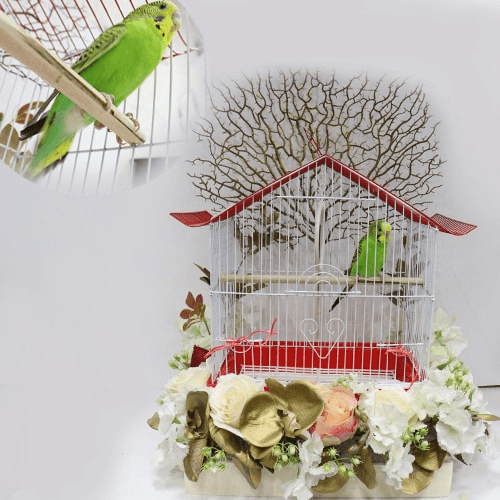 Love Bird Cage With Colorful Roses 